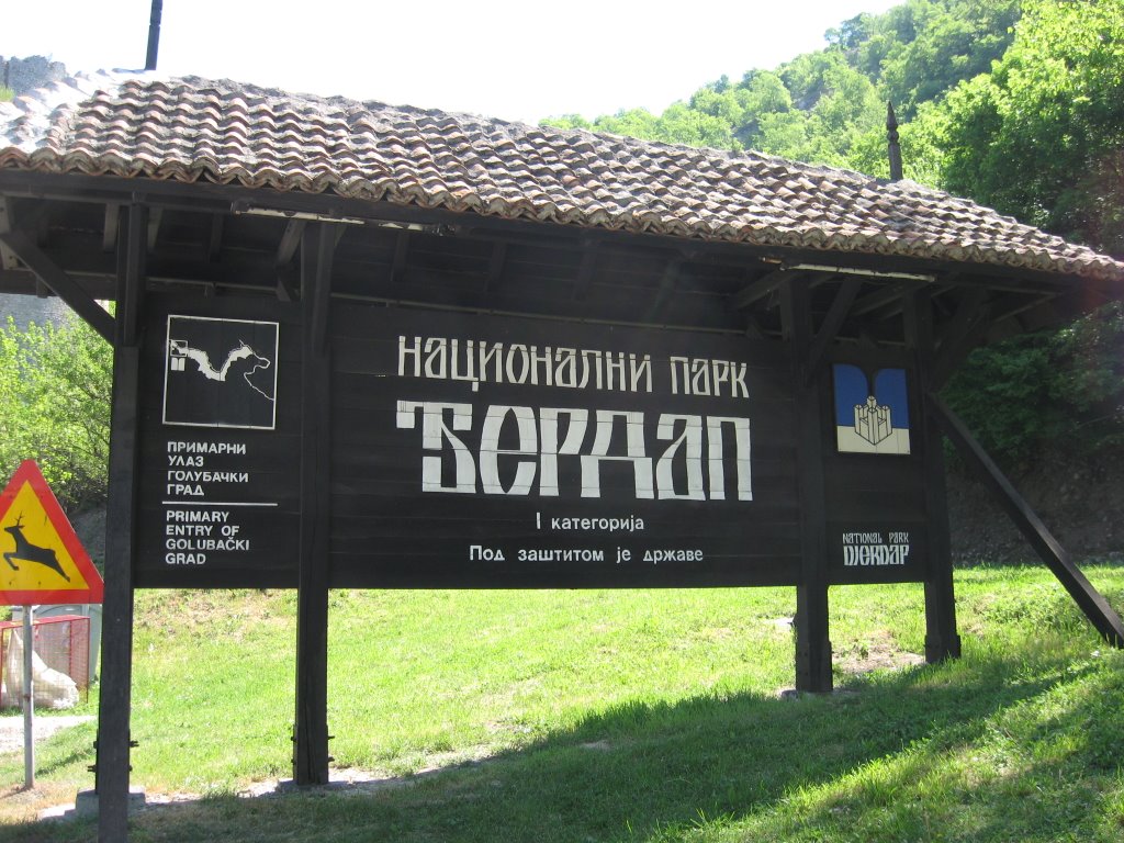 23483641