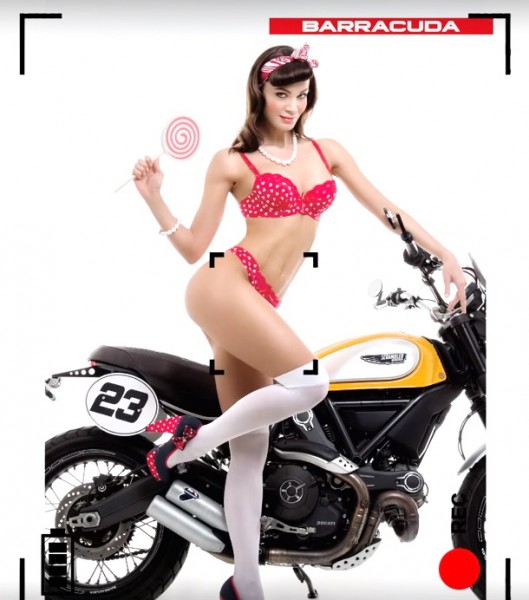 Calendar Barracuda1