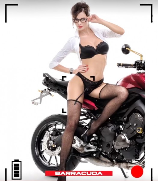 Calendar Barracuda10