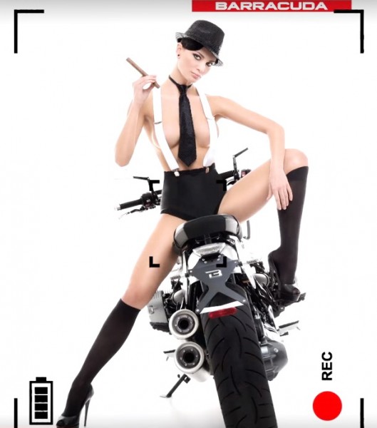 Calendar Barracuda3