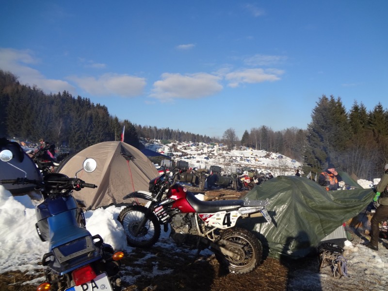 Elefententreffen