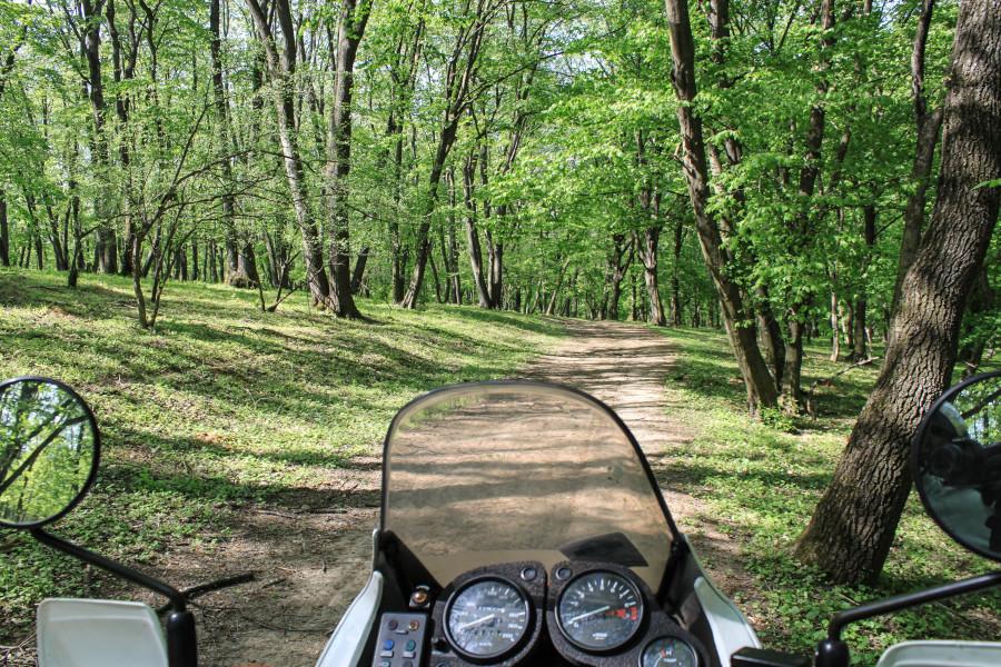 dobrogea kulturide (20)