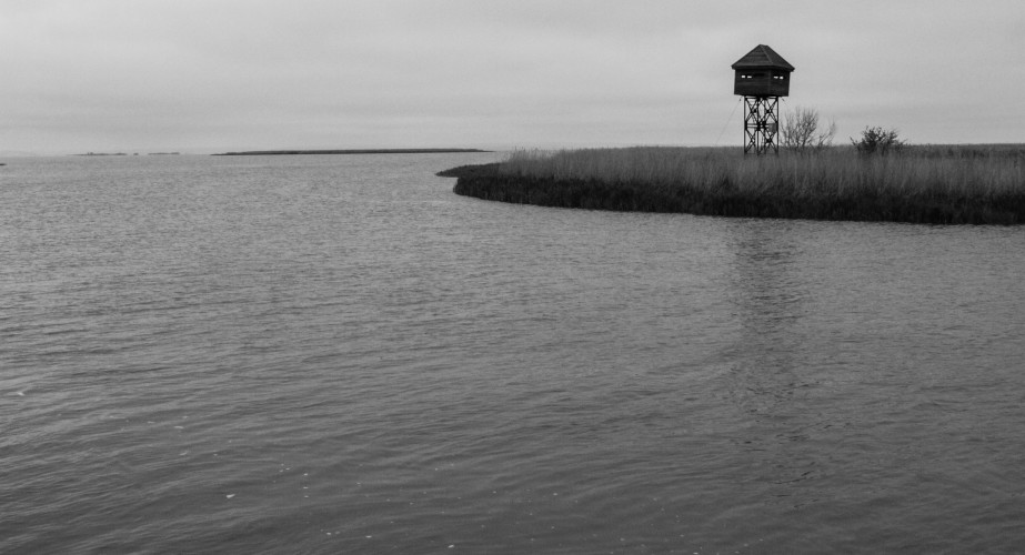 dobrogea kulturide (3)