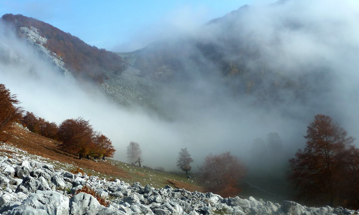 muntii mehedinti