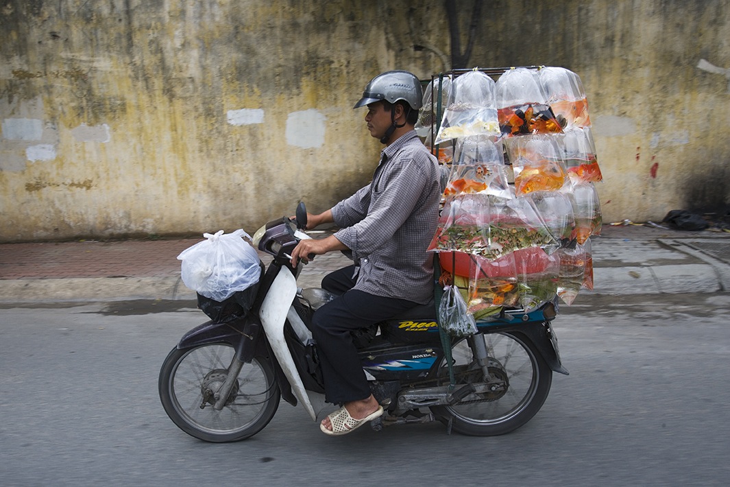 vietnam bike (10)