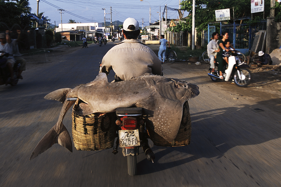 vietnam bike (4)